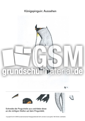 001 königspinguin aussehen ausschneiden.pdf
